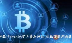  极致体验：Tokenim矿工费加